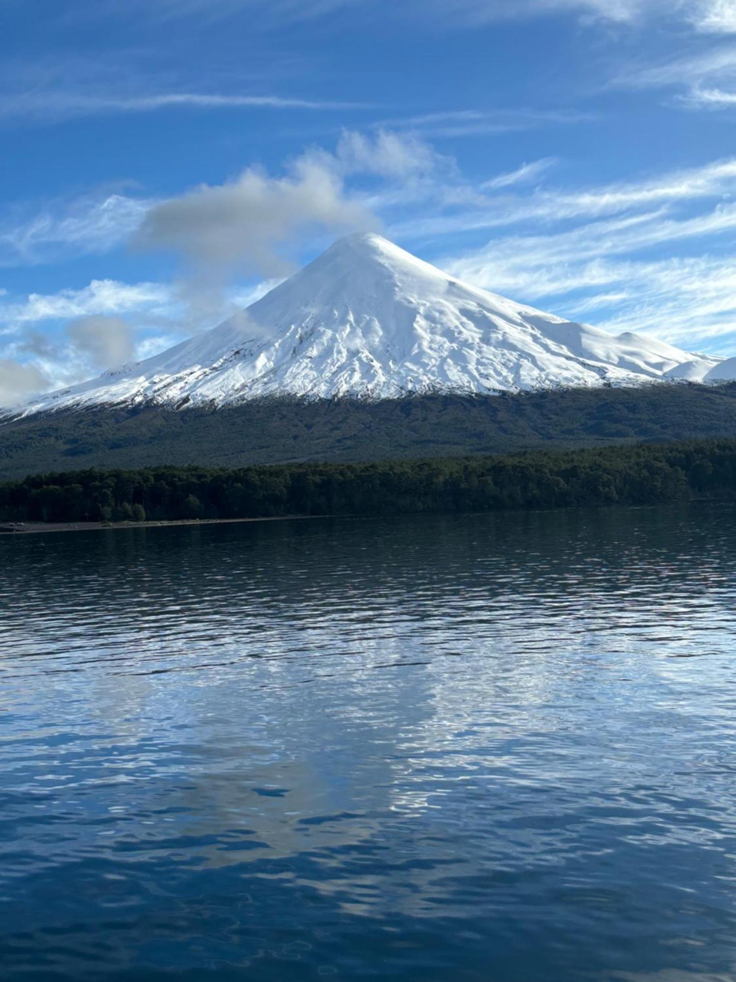 The Roses Apartment Puerto Varas Exterior photo